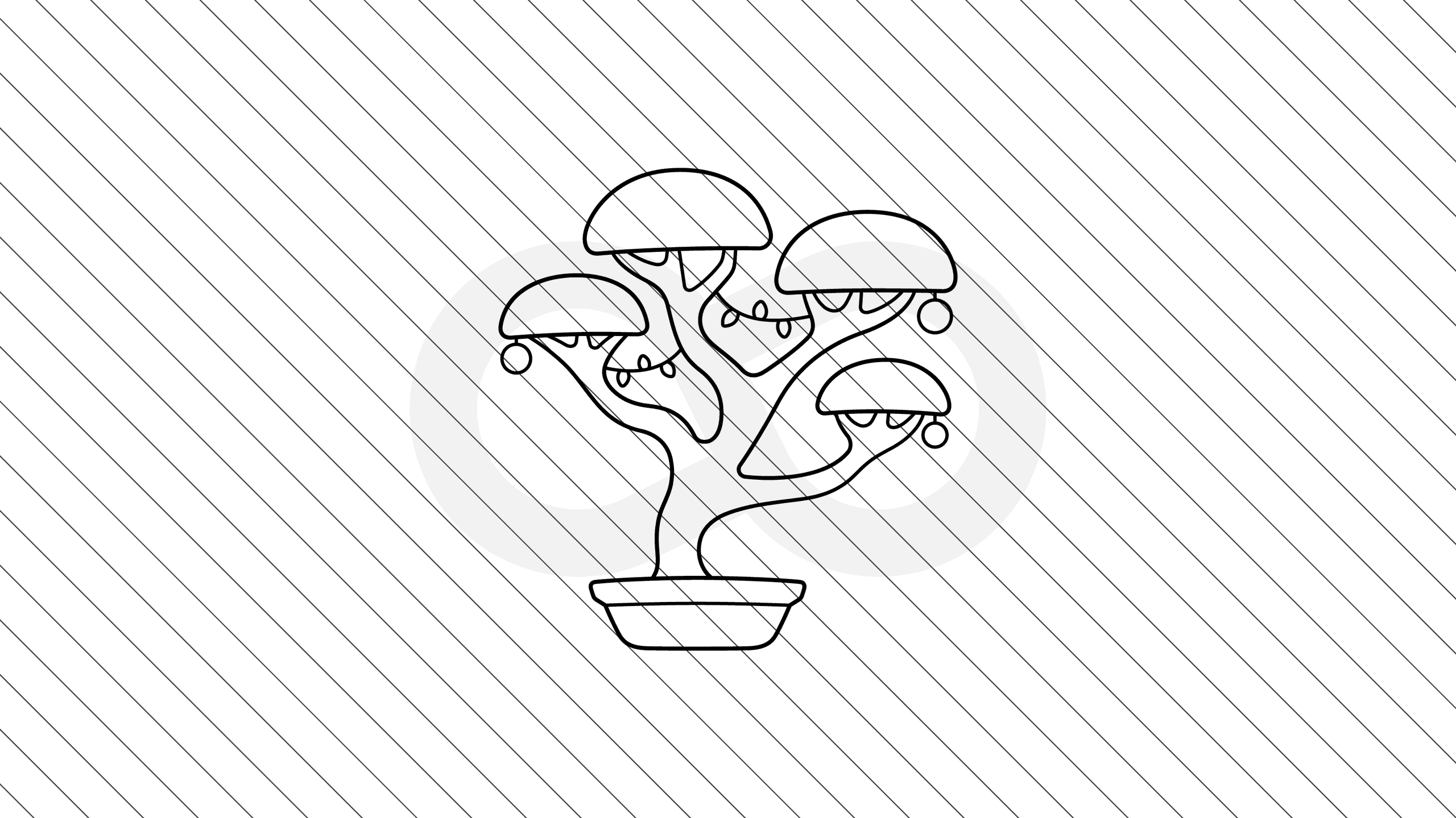 Bonsai Christmas Tree